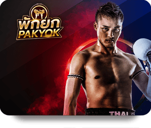 Dafabet 2026: Những dịch vụ mới hấp dẫn dành cho người dùng